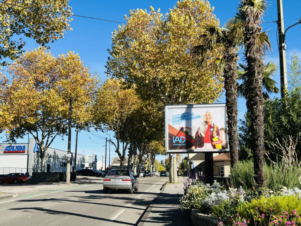 affiches bleues à Valence - Campagne publicitaire IAD : travailler dans l'immobilier à Valence